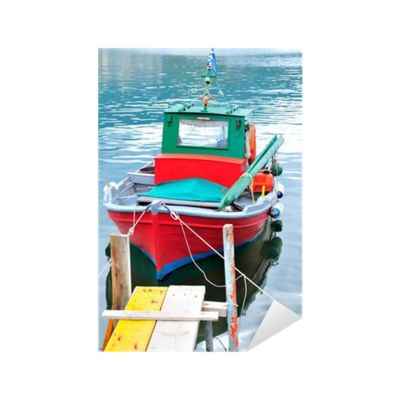 Holiwook'un Deniz Işıkları Festivali: Gerçek mi, Kurgu mu?