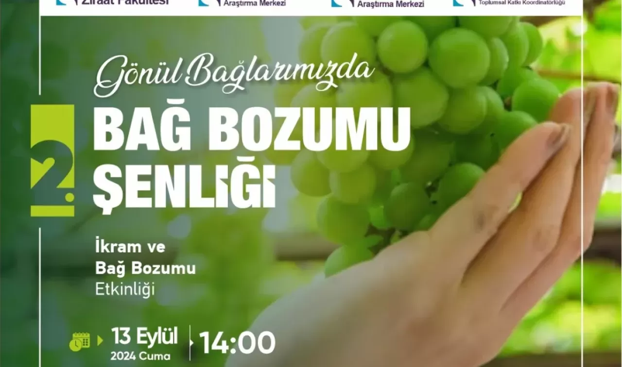 Tekirdağ'da Ailece Keyif: Bağ Bozumu Şenliklerinden Şarap Müzelerine Unutulmaz Bir Tatil