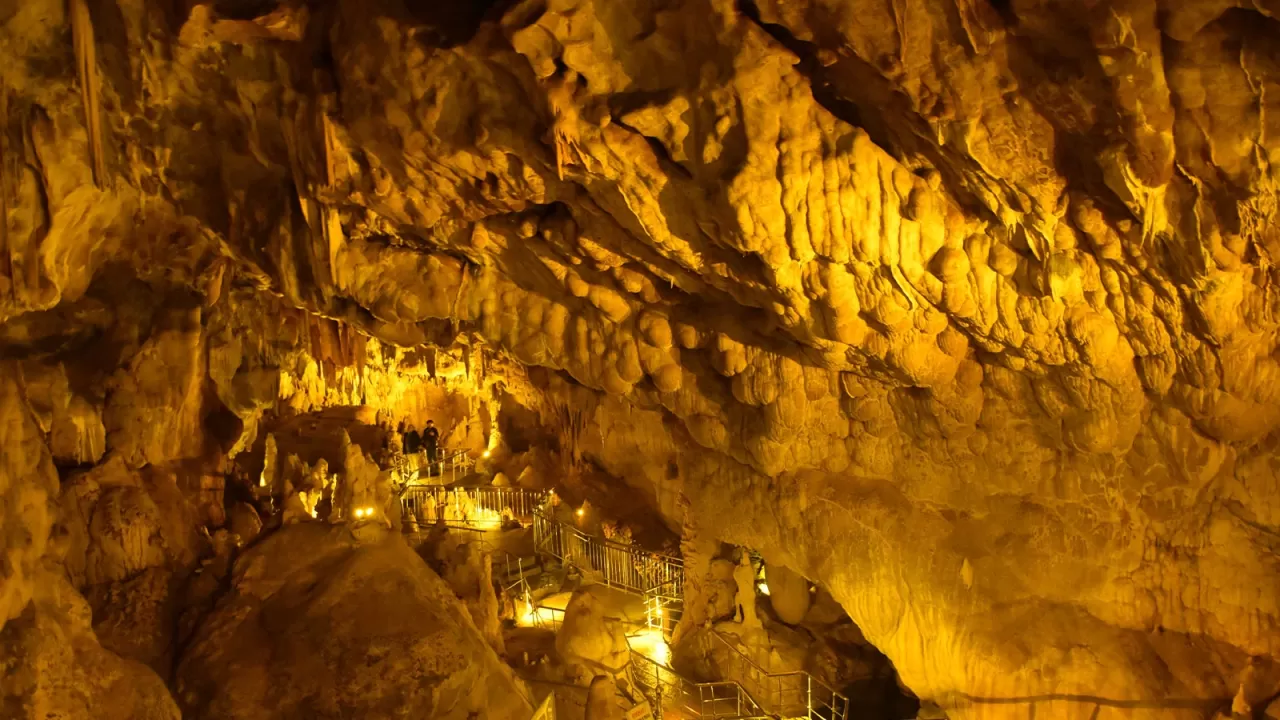 La Tomatina: Bir Domates Savaşından Fazlası, İspanya'nın Coşkulu Ruhunun Ta Kendisi