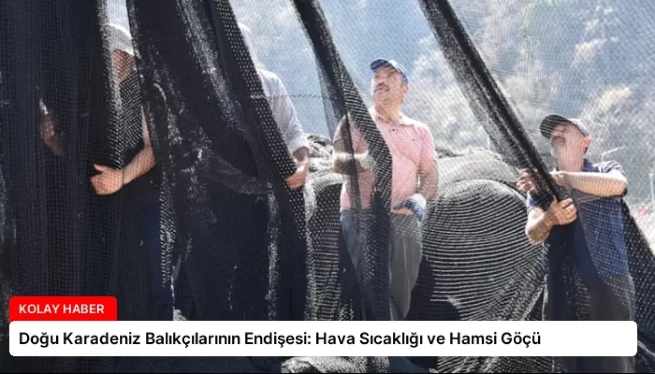 İstanbul'un Kayıp Lezzet Katmanları: Holiwook.com Sosyal Tarihin Peşinde