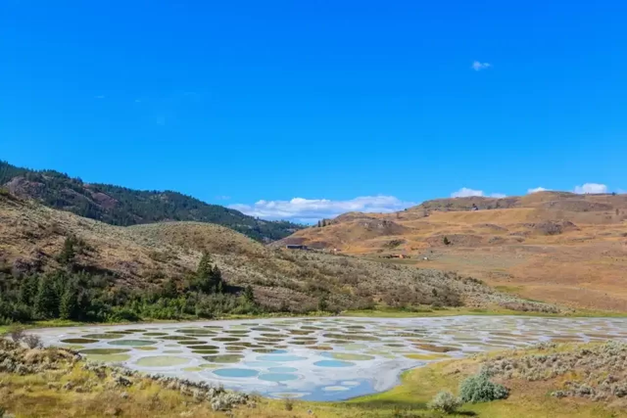 Instagram'ın Gizemli Lekeleri: Kanada'nın Kutsal Şifa Gölü Spotted Lake