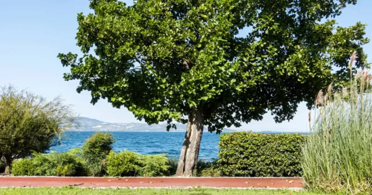 Sapanca'da Ailece Kaçamak: Göl, Doğa ve Macera Bir Arada