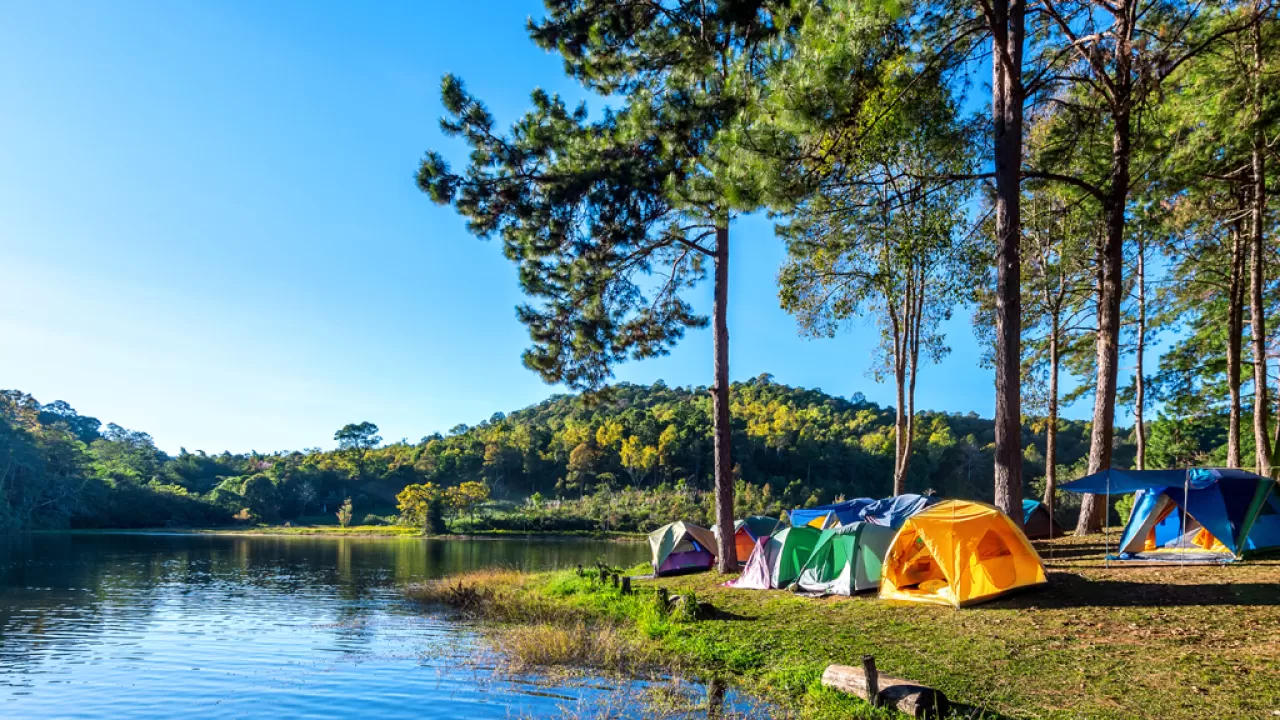 Teknolojiden Arın, Doğada Yenilen: Dijital Detoks Retretleri Yükselişte