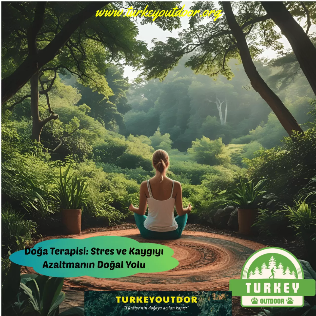 Doğanın ve Sanatın İyileştirici Gücü: Köy Yaşamında Neuro-Sanat Terapisi Retreatleri