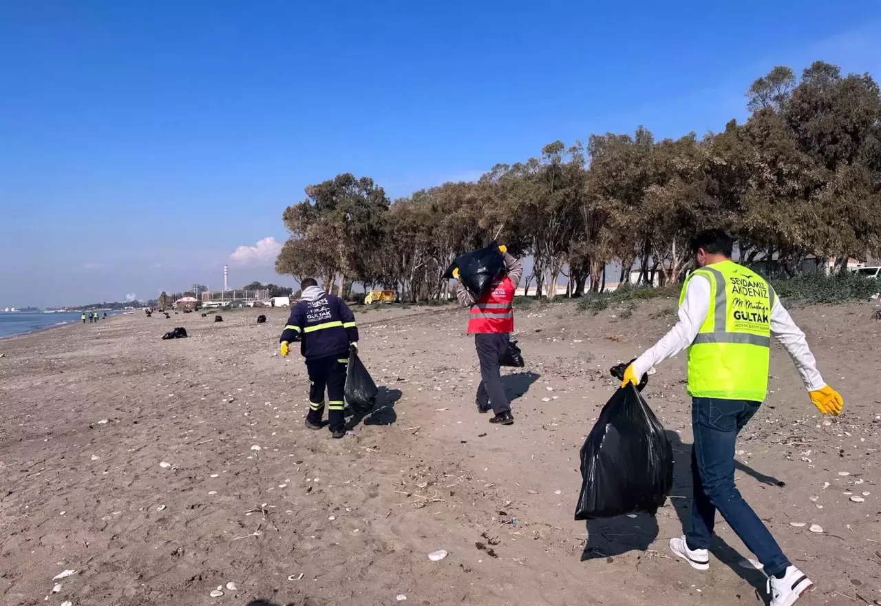 Pamucak Sahili'ne Caretta Caretta Sürprizi: Tarihi Sahilde Nesli Tehlike Altındaki Konuklar