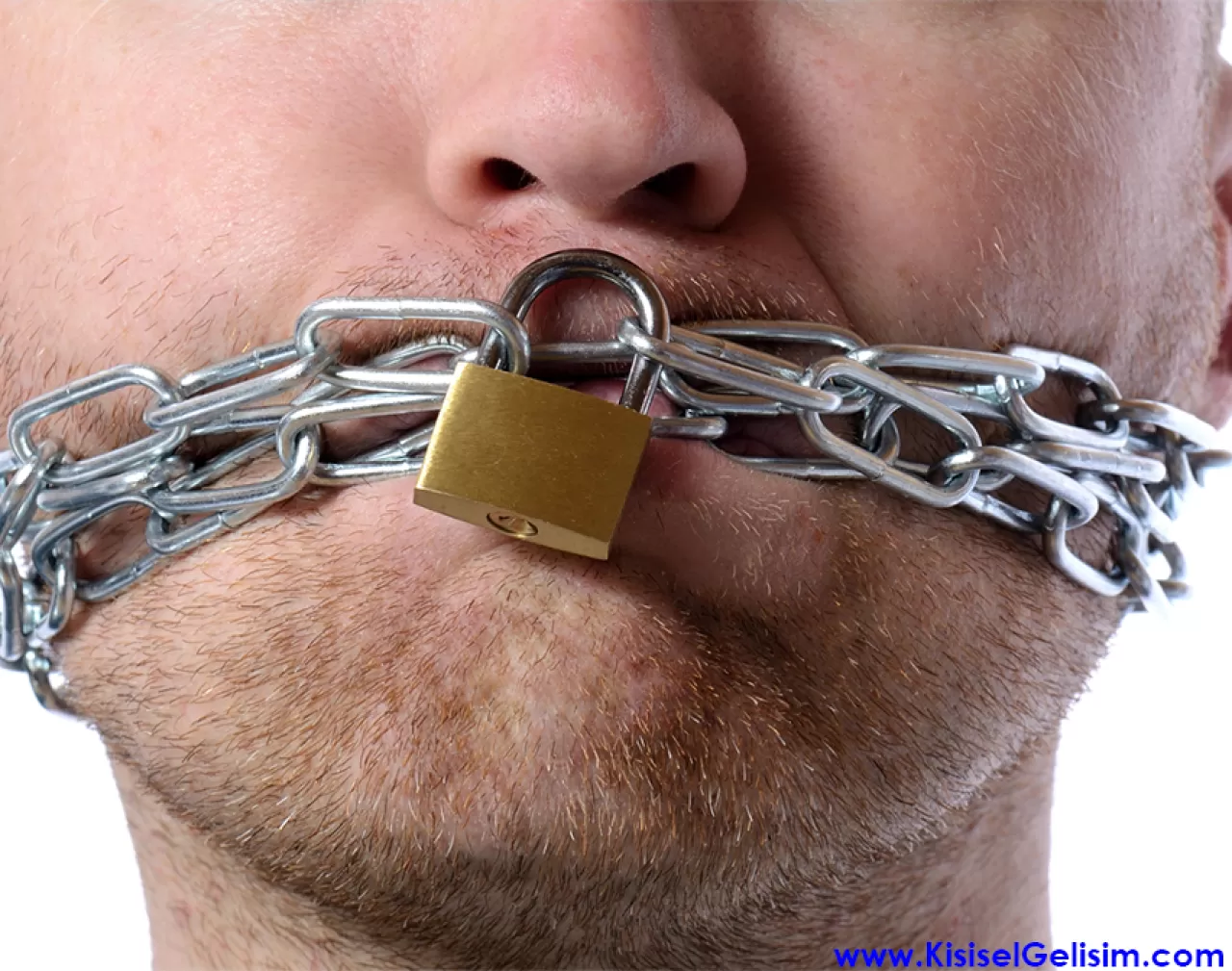 Holiwook ile Derin Dinlenme: Ses Terapisi ve Akustik Arkeoloji ile Unutulmuş Sessizliği Keşfedin