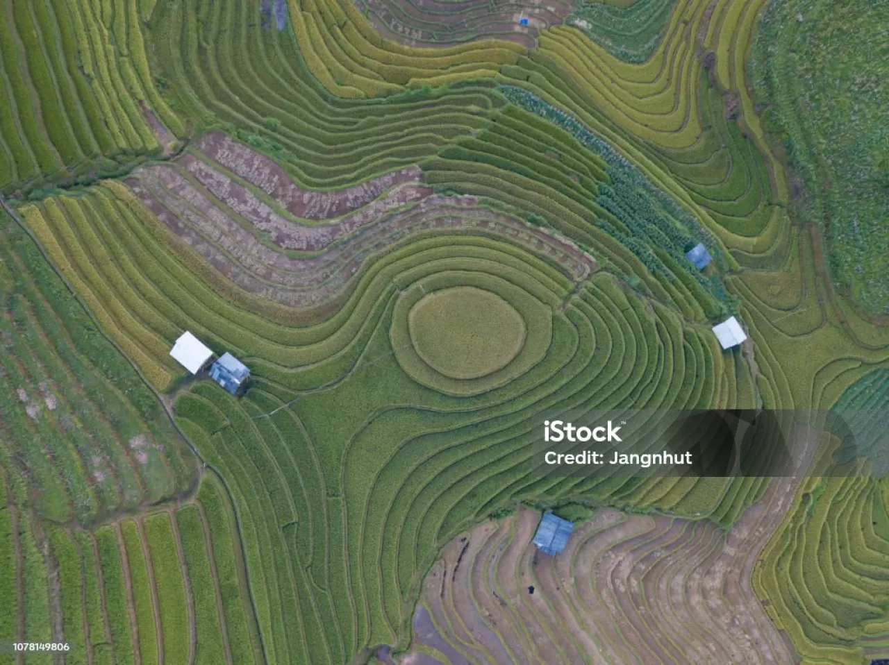 Instagram'ın Altın Rüyası Mu Cang Chai: Fotoğraf Karelerinin Ardındaki Gerçek Mücadele