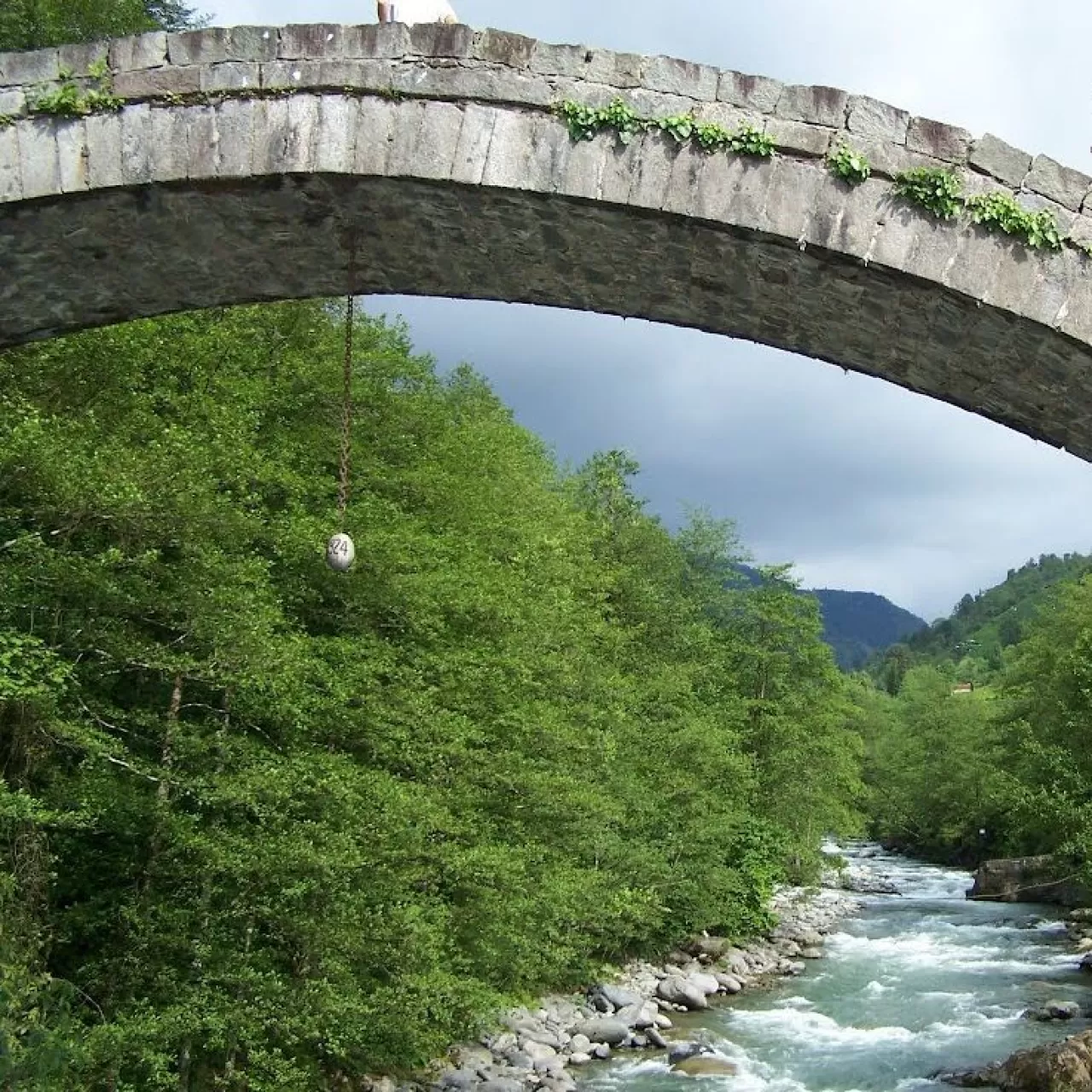 Karadeniz'in Saklı Lezzet Rotası: Fındıklı Leblebi Yolu'nda Gastronomi Macerası