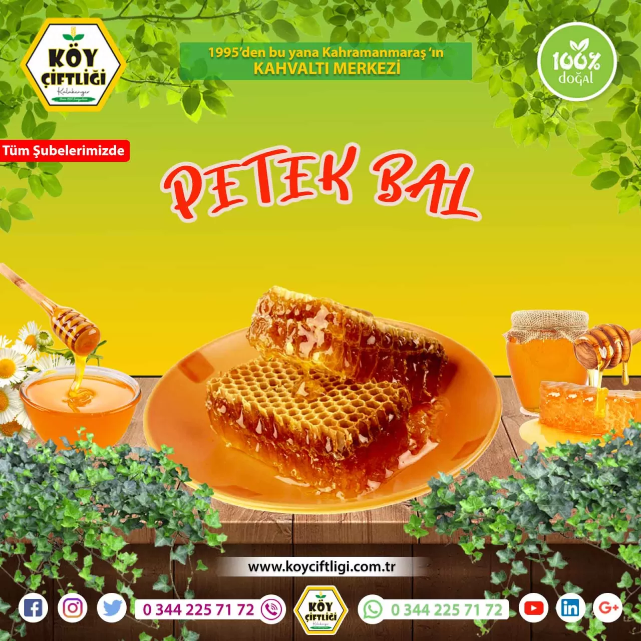 Arıların İyileştirici Gücü ile Tanışın: Köyde Arıcılık Retreat'i