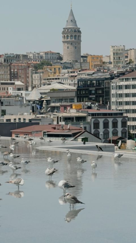 Novotel İstanbul Bosphorus ve İstanbul Modern Sanat Müzesi İşbirliği