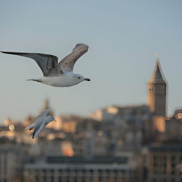 Tarihi Atmosferde Lüks Konaklama