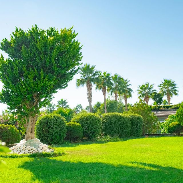 Antalya'da Mavi ve Yeşilin Tadını Çıkarın