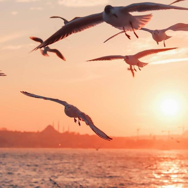 İstanbul Boğaziçi'nde Gün Batımı Keyfi