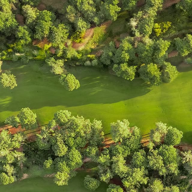 Cornelia Golf Club: Belek'te Golf Tutkunları için Yeni Bir Deneyim