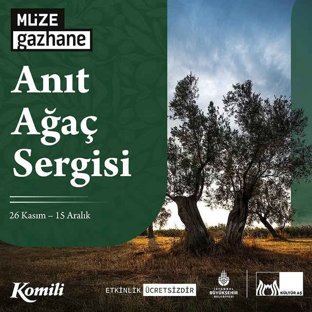 Müze Gazhane'de Zeytin Ağaçları Sergisi