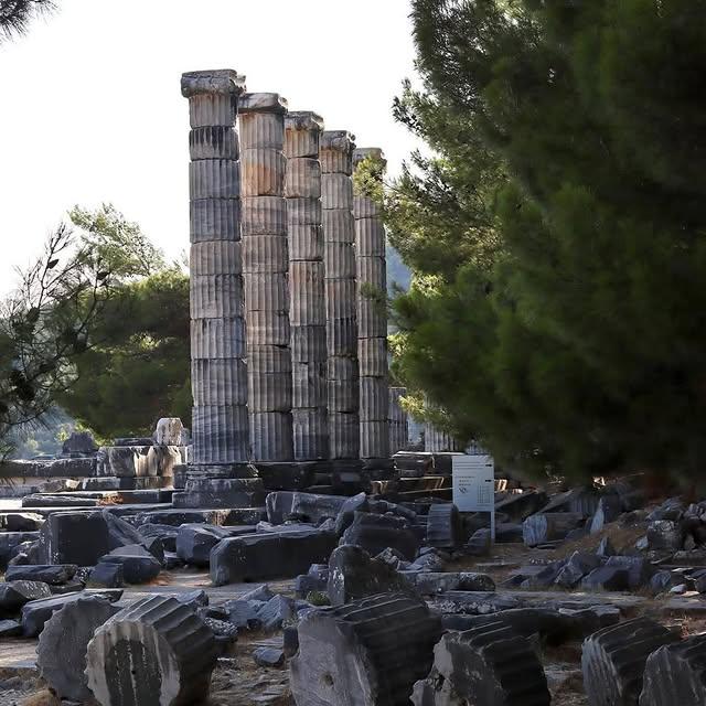 Priene Antik Kenti Söke'de Yeni Kazılar Başladı