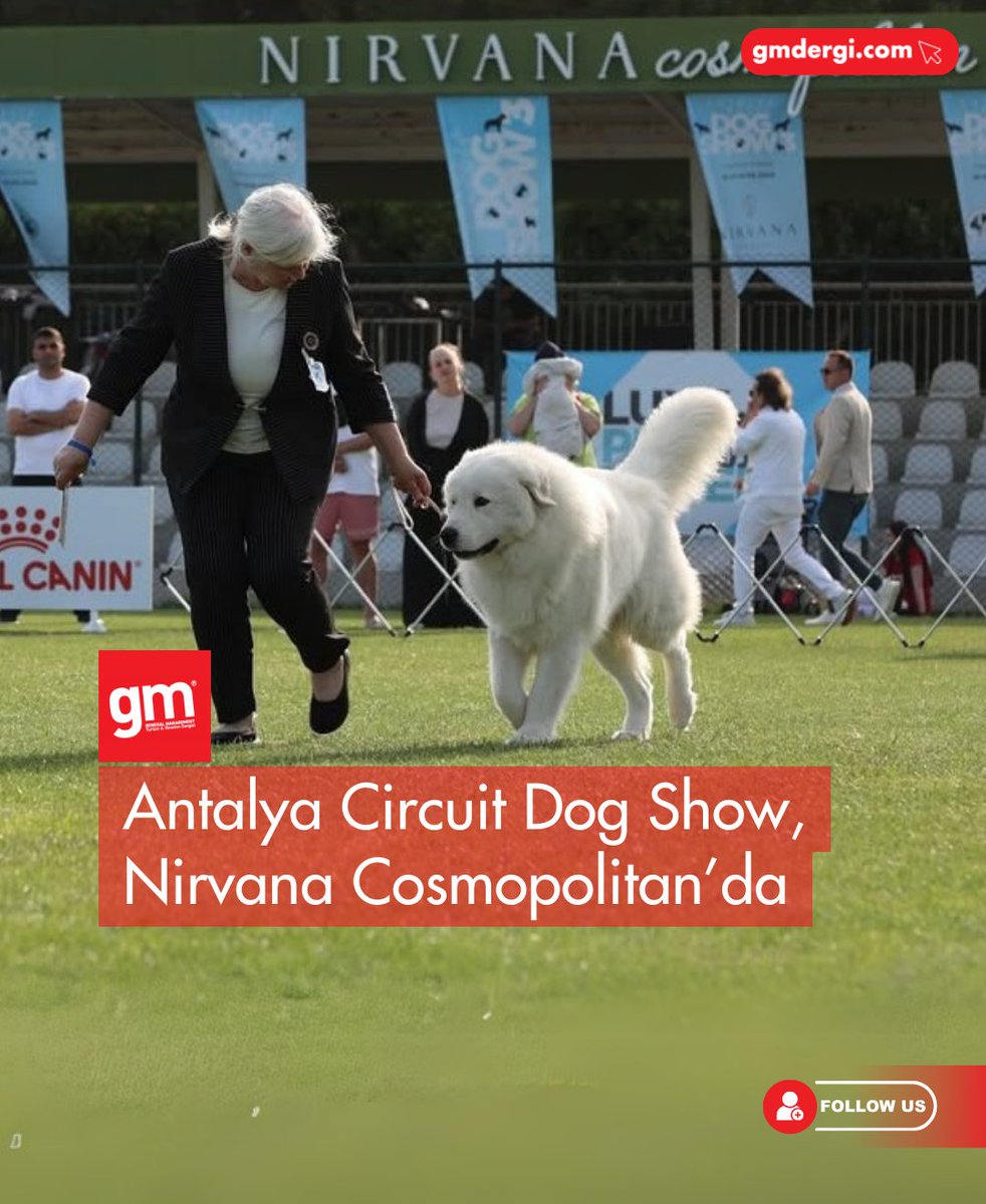 Antalya'da Köpek Yarışması Dördüncü Kez Düzenleniyor