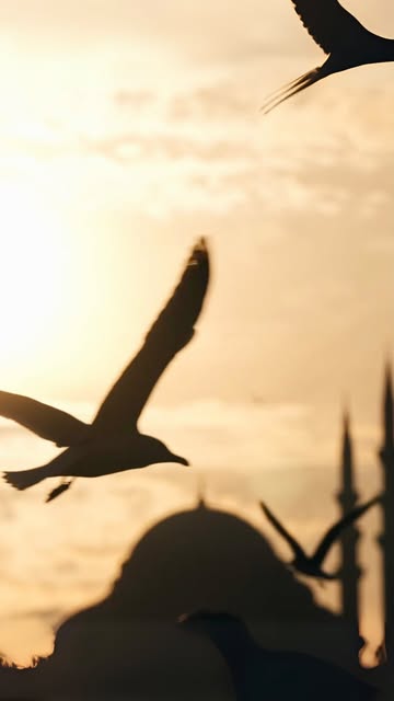 İstanbul'un Boğaz Manzaralı Sokakları Işıl Işıl