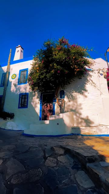 Bodrum'un Sokaklarını Sardı: Begonvillerin Açtığı Renk Cümbüşü