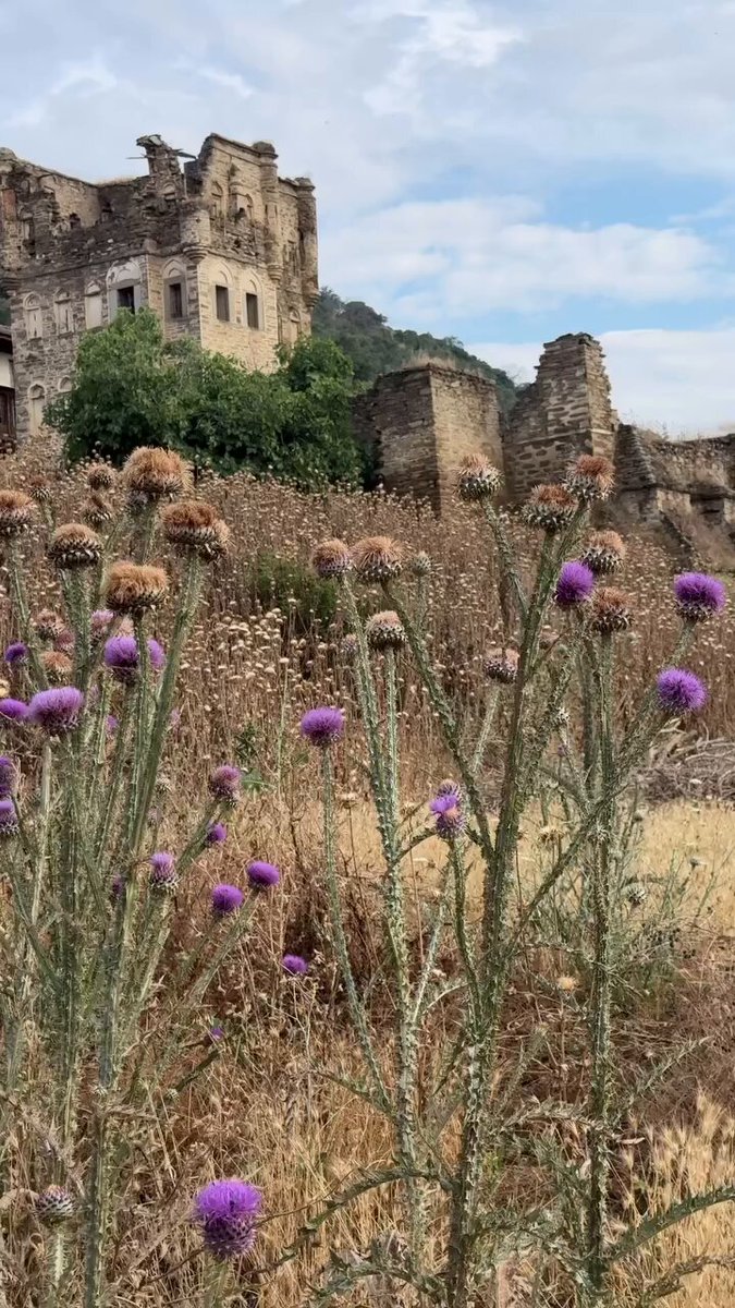 Arpaz Beyler Konağı ve Kulesi, Ziyaretçilerini Tarihte Yolculuğa Çıkarıyor