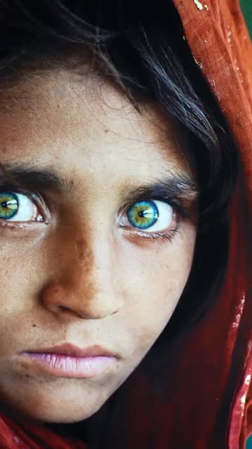 Steve McCurry'nin 
