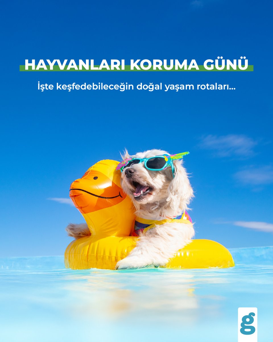 Gezinomi, 4 Ekim Hayvanları Koruma Günü'nde Sürdürülebilir Turizme Dikkat Çekti