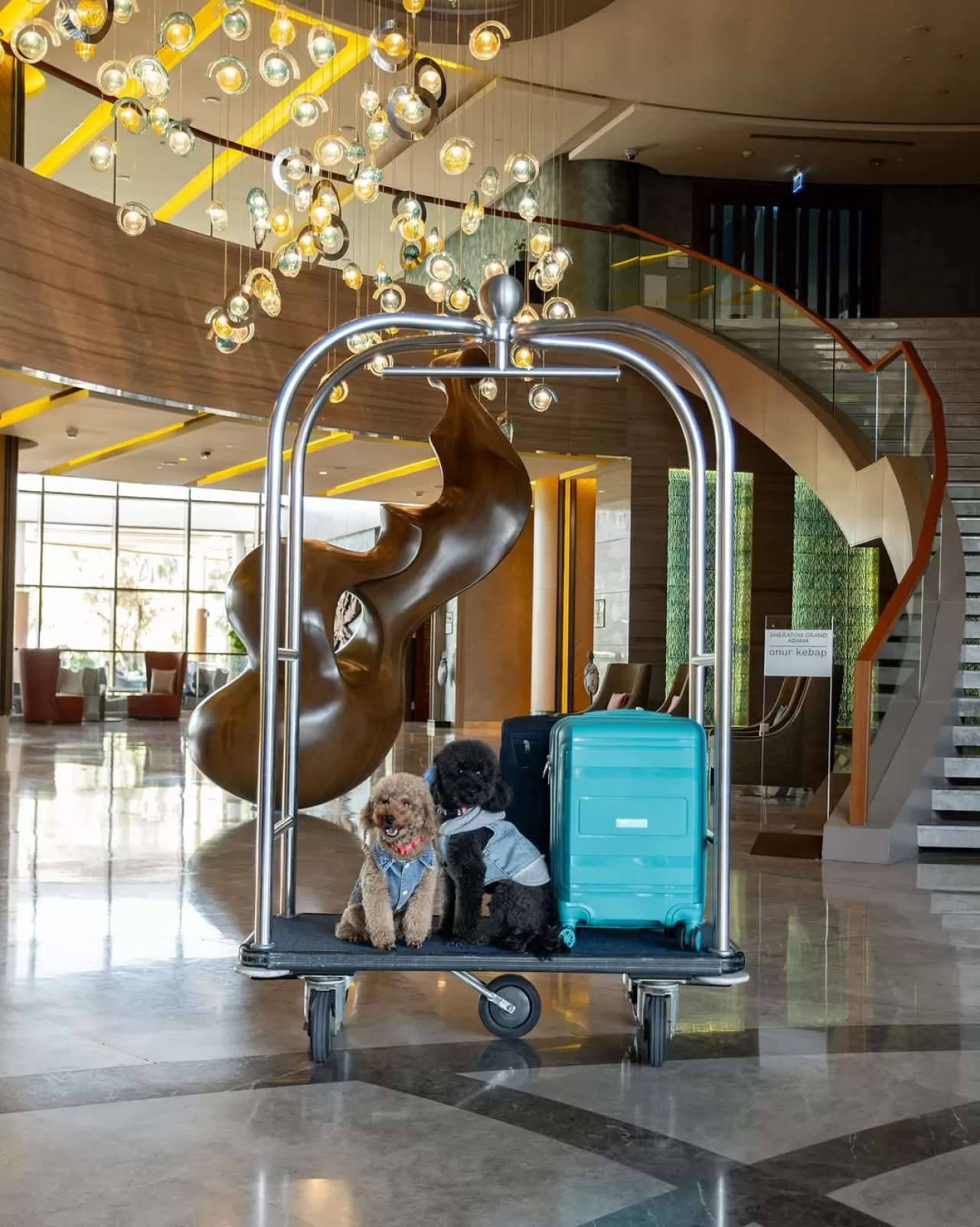Sheraton Grand Adana, Evcil Hayvan Dostu Konaklama Deneyimini Genişletiyor