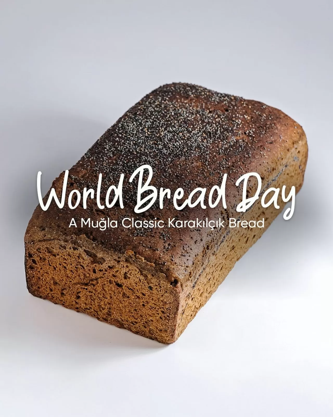 Muğla'nın Yerel Lezzeti Karakılçık Ekmeği, Dünya Ekmek Günü'nde Öne Çıkıyor