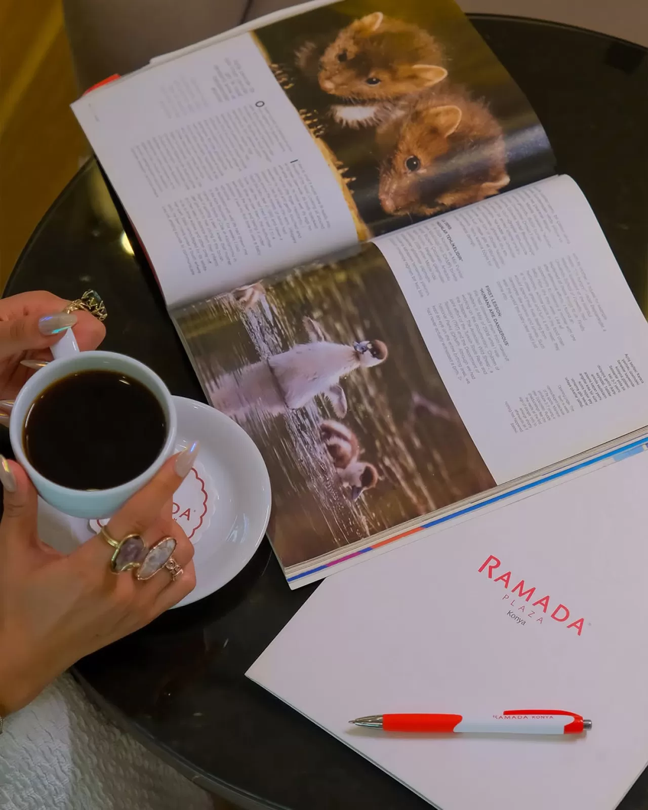 Ramada Plaza Konya'da Konaklama Deneyimi