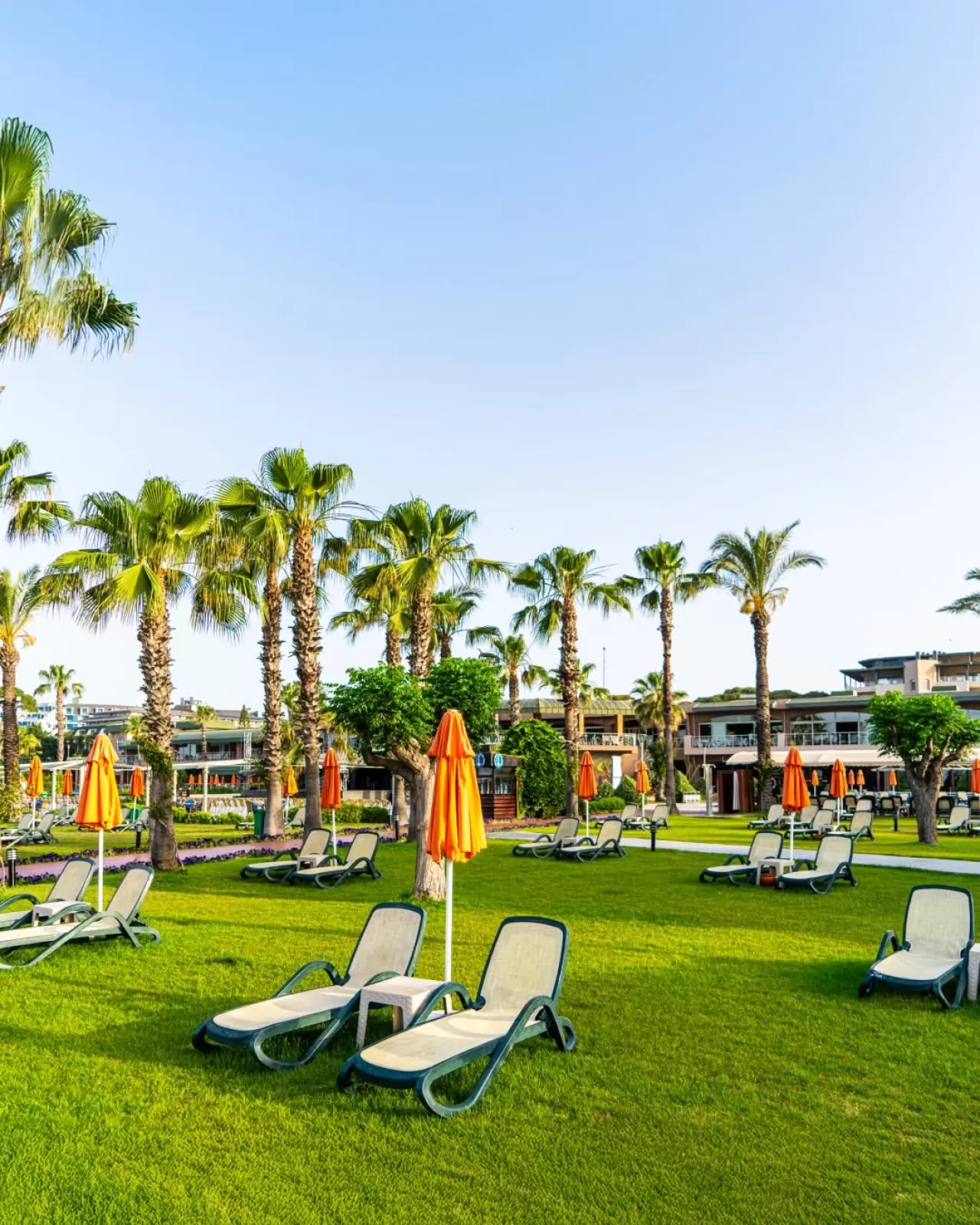 Pine Beach Belek, Doğa ile İç İçe Bir Tatil Deneyimi Sunuyor