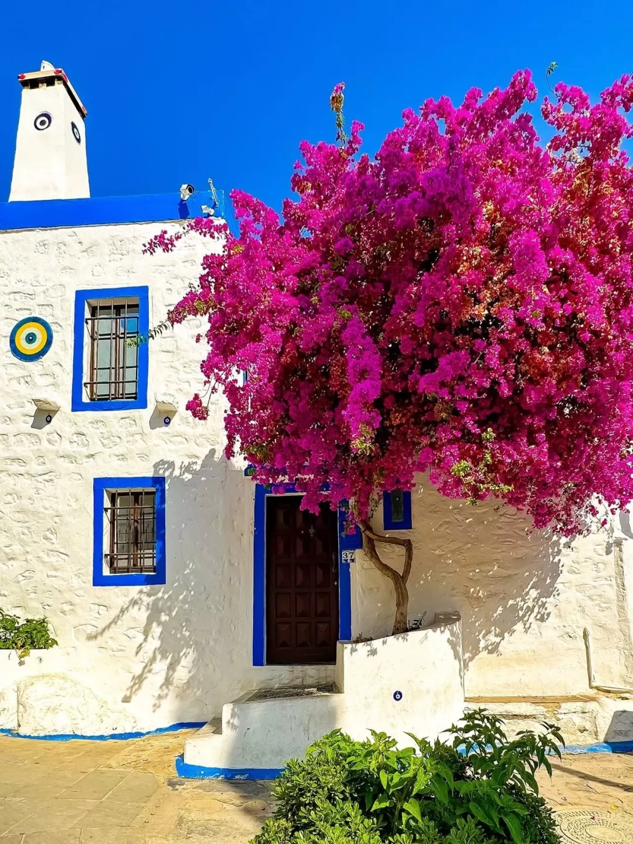 Bodrum Sokaklarını Begonvillerin Renk Cümbüşü Sardı