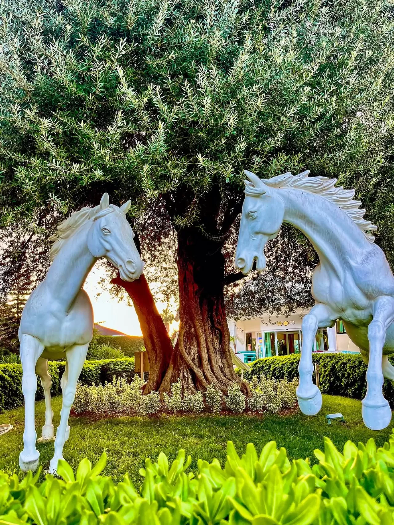 Innvista Hotels Belek, Yıl Boyu Tatil İmkanı Sunuyor